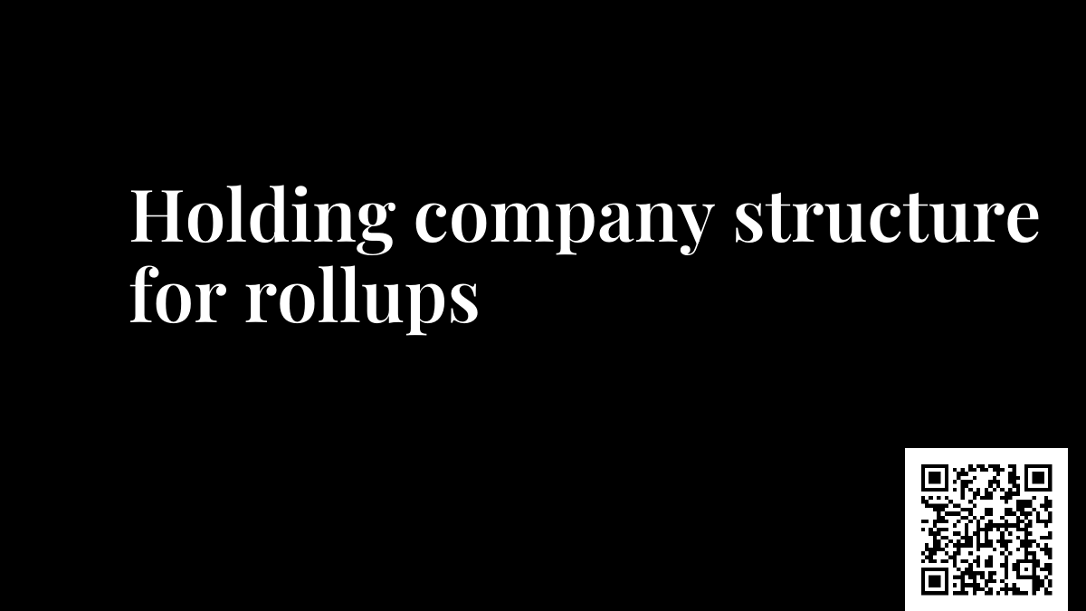Holding company structure for rollups